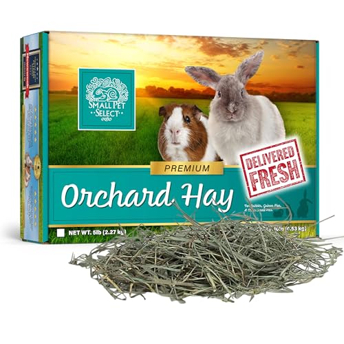 Small Pet Select Orchard Grass Hay Pet Food for Rabbits, Guinea Pigs, Chinchillas and Other Small Animals, Premium Natural Hay Grown in the US, 5 LB - size: 5 Pound (Pack of 1)