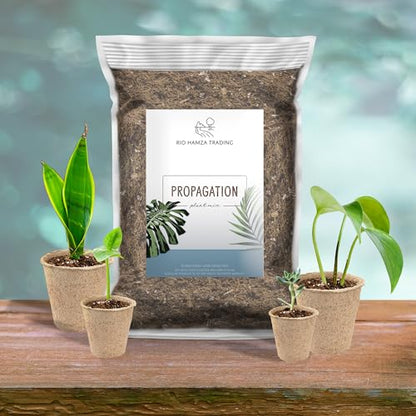 Planting Mix for Plant Propagation (4 Quarts), Hand Blended Soilless Mix for Propagating Plants, House Plants, and More - size: 4 Quarts