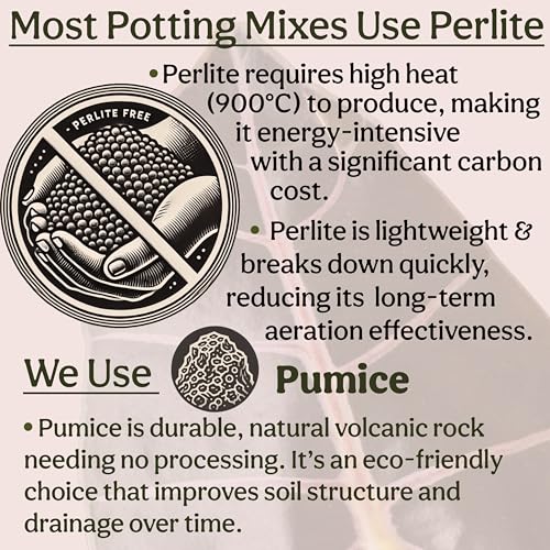 Craft Organic Houseplant Potting Mix, Elite House Plant Soil, Chunky, Well Draining Potting Soil for All Indoor Plants, Tropical Plants & Flowers, Sustainable & Peat Free, Less Prone to Gnats, 8QT - size: 8 quarts