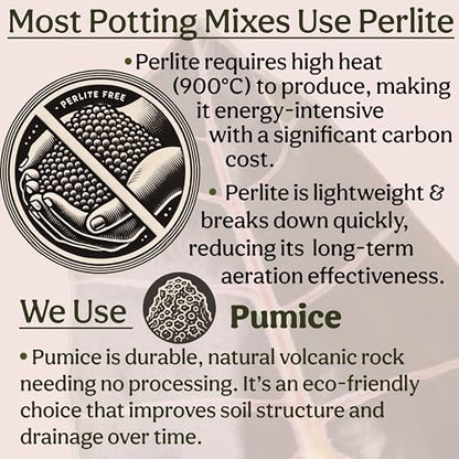 Craft Organic Houseplant Potting Mix, Elite House Plant Soil, Chunky, Well Draining Potting Soil for All Indoor Plants, Tropical Plants & Flowers, Sustainable & Peat Free, Less Prone to Gnats, 8QT - size: 8 quarts