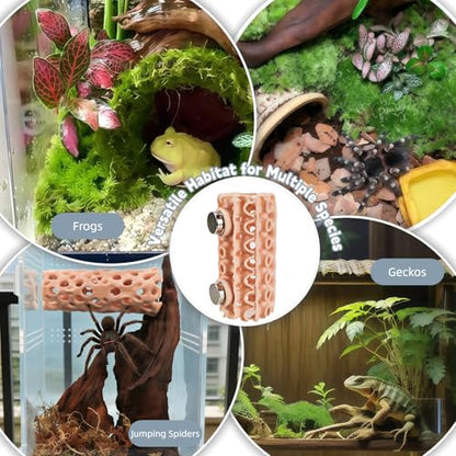 Jumping Spider Habitat - Magnetic Pet Hiding Shelter with Clear Climbing Walls, Secure Ventilated Design for Geckos, Frogs & Amphibians | Terrarium & Vivarium Decoration