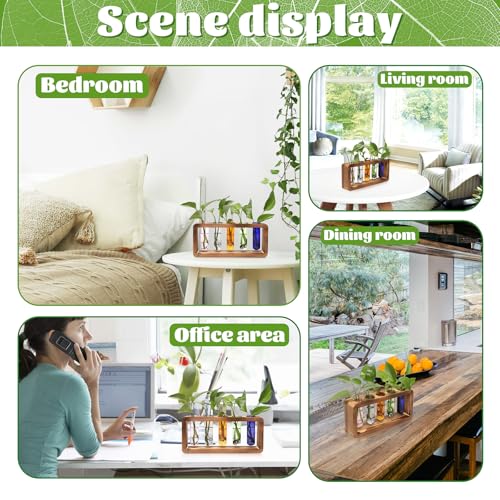 Glass Plant Propagation Station with 5 Test Tubes Colorful Planter Vase Birthday Gifts for Women in Wooden Stand - color: Color-01