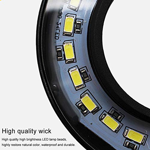Full Spectrum LED Aquarium Light, 360-degree Adjustable LED Light with Bamboo Board, Miniature Landscape USB Powered Lamp for Plant, Fish Tank, Potted Plants(Size:M) - size: M