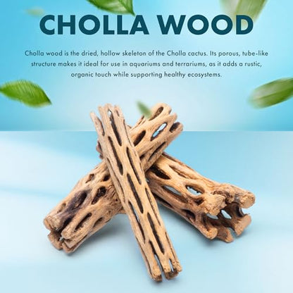 SubstrateSource Natural Cholla Wood - Driftwood for Aquariums, Air Plant Base, Hermit Crab and Freshwater Shrimp Hideout, Fish Tank Decoration, Chinchilla Chews, Reptile Habitat Wood - 6 Inch, 5pc - size: 6 Inch, 5pc