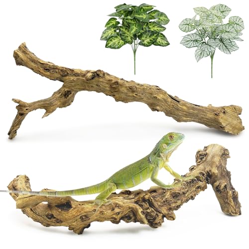 Reptile Branch Decor 2 Pcs Snake Climbing Wood Branches Lizard Habitat Decorations Terrarium Natural Forest Tree Trunk Ornament for Bearded Dragon Geckos Chameleon Frog - color: Wood, size: 13.77-15.7 inches