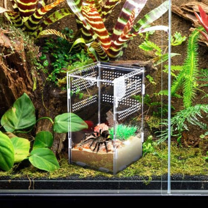 Acrylic Reptile Terrarium with Modular Design and Secure Lock, Well-Ventilated Breeding Box for Small Pets and Snakes, Easy Assembly Habitat Cage for Reptile and Spider Enclosure