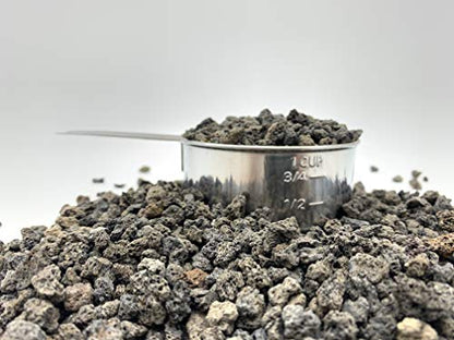 Black Lava Rock | 2 Quarts Bag | 1/4” Particle Size | Soil Aggregate for Bonsai, Cactus, Succulents, Aquariums, and More | Enables Optimal Drainage and Soil Aeration | The Bonsai Supply - size: Black Lava Rock 2 Quarts