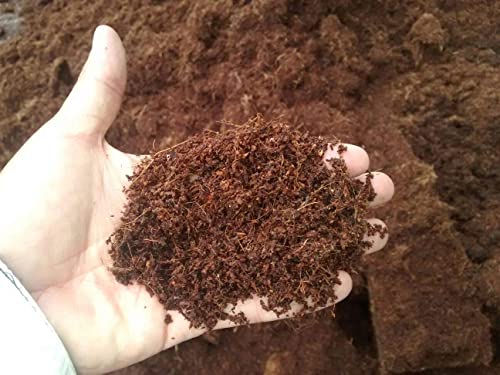 Home and Country Coco Coir Brick 50 Lbs Triple Washed Low EC Coconut Fiber Potting Soil Alternative for Indoor Plants Gardening Essentials and Mulch Compost Base - size: 50 Pound