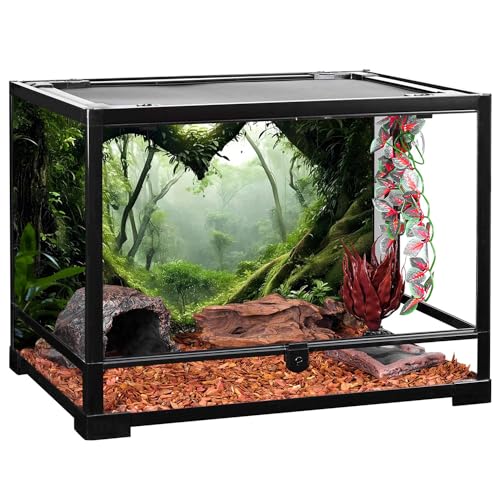 AWERT 24x16 inches Polyester Tropical Rainforest Terrarium Background Stream Green Huge Tree Reptile Habitat Background Foggy Rainforest Aquarium Background - size: 24x16in/60x40cm