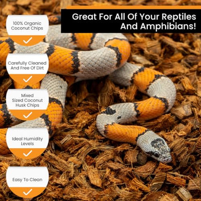 BabiChip Coconut Chip Substrate for Reptiles 12 Quart Loose Small Sized Coco Husk Chip Bedding for Ball Pythons, Other Snakes, Tortoises, Geckos, Frogs, or Lizard Terrarium Tanks - size: 12 Quart