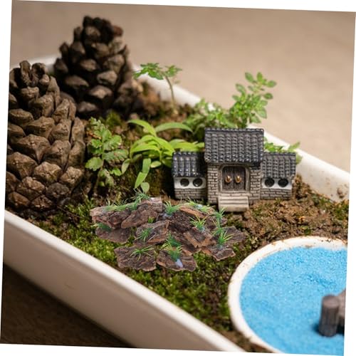 20pcs Natural Cork Bark for Reptile Terrarium Non-Toxic Tree Bark Background for Reptile Tank Climbing and Shelter Decor for Lizards Turtles Amphibians Aquarium Habitat Accessories