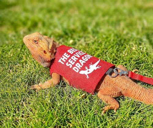Bearded Dragon Harness and Leash Set, Escape Proof Adjustable Lizard Reptile Vest Clothes with 5.5 ft Leash for Outdoor Walking, Best Service Dragon Design