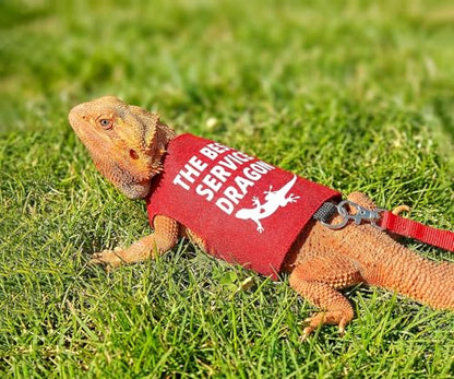 Bearded Dragon Harness and Leash Set, Escape Proof Adjustable Lizard Reptile Vest Clothes with 5.5 ft Leash for Outdoor Walking, Best Service Dragon Design