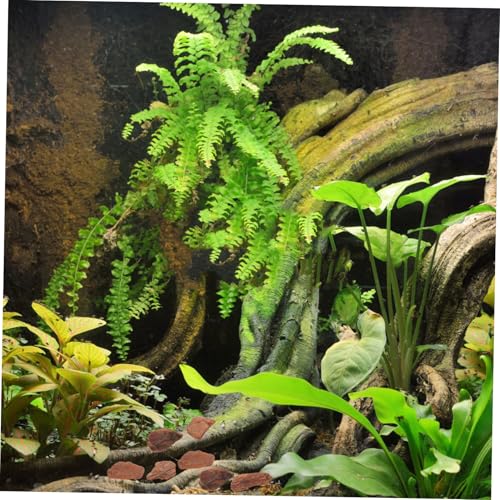 Totority 1bag Terrarium Bark Chips Bedding for Reptiles Natural Decorative Substrate for Tank and Aquarium Safe Rustic and Easy to Arrange for Snakes Lizards and Turtles Lb