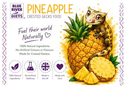Blue River Diets Crested Gecko Diet | Pineapple Crush | All Natural Low Fat Complete Gecko Food | 2.1oz