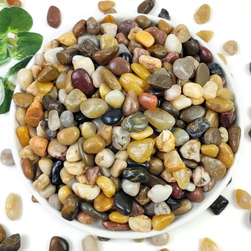 YISZM 10LB Succulent and Cactus Gravel Pebbles, 3/8 Inch Decorative Polished Stones, River Rocks for Plants, Vases, Aquariums, Terrarium and Outdoor Gardening, Natural - color: Natural, size: 10 Pounds