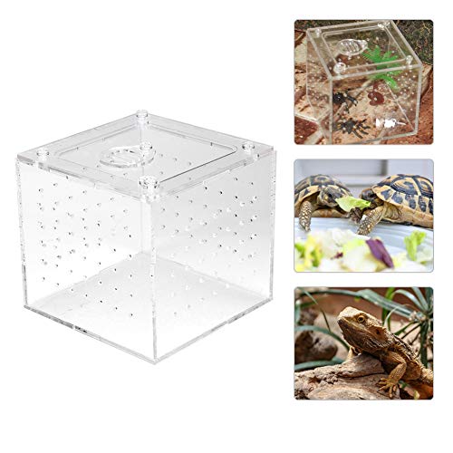 Acrylic Reptile Breeding Box, Transparent, Sturdy and Durable Terrarium Enclosure with Ventilation Holes, Safety Lock and Feeding Hole for Snakes, Spiders, Lizards and Other Small
