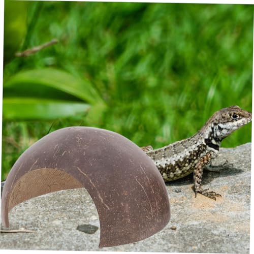 2-Pack Coconut Shell Reptile Hideout 4.72In Natural Coir Pet Shelter for Gecko Lizard Hermit Crab Terrarium Safe Habitat