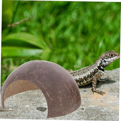 2-Pack Coconut Shell Reptile Hideout 4.72In Natural Coir Pet Shelter for Gecko Lizard Hermit Crab Terrarium Safe Habitat