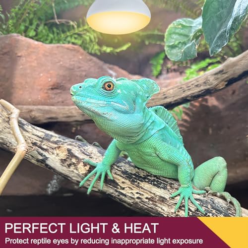 150W Reptile Heat Lamp Bulb,Basking Spot Lamp Bulb for Reptiles & Amphibians，Reptile Daylight Heat Bulb for Bearded Dragon, Lizard, Turtle - size: 150*1