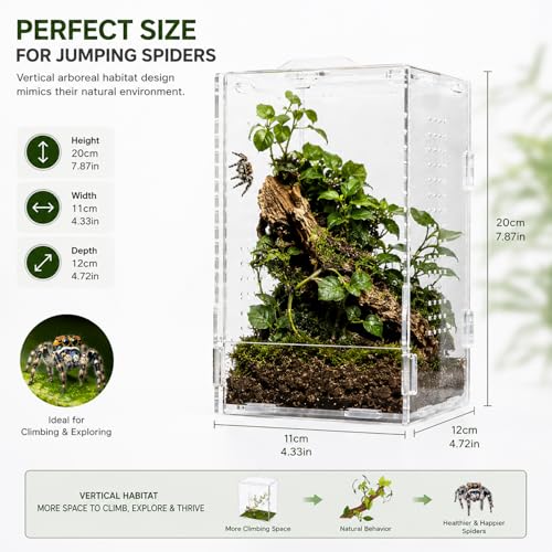Jumping Spider Enclosure, Large Acrylic Arboreal Terrarium with Top Rotating Lock Door, Ventilated Insect Habitat Tank for Jumping Spiders, Small Geckos