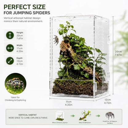 Jumping Spider Enclosure, Large Acrylic Arboreal Terrarium with Top Rotating Lock Door, Ventilated Insect Habitat Tank for Jumping Spiders, Small Geckos