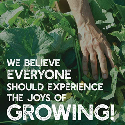 Mountain Valley Seed Co No-Till Garden Farm and Garden Cover Crop Mix Seeds | 5 Lbs - Blend of Gardening Cover Crop Seeds: Hairy Vetch, Daikon Radish, Forage Collards, Triticale, More - size: 5 lbs
