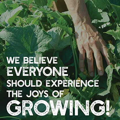 Mountain Valley Seed Co No-Till Garden Farm and Garden Cover Crop Mix Seeds | 5 Lbs - Blend of Gardening Cover Crop Seeds: Hairy Vetch, Daikon Radish, Forage Collards, Triticale, More - size: 5 lbs