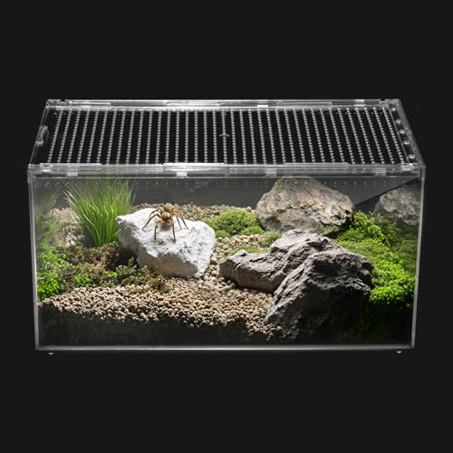 Reptile PC Terrarium,Tarantula Enclosure,Spider Tank Starter Kit,Leopard Gecko Container,Hermit Crab Habitat,Lizard Enclosure,Insect Housing,Jumping Spider Cage,Small Bearded Dragon Vivarium S - size: S(7.8x5.9x3.9 IN)
