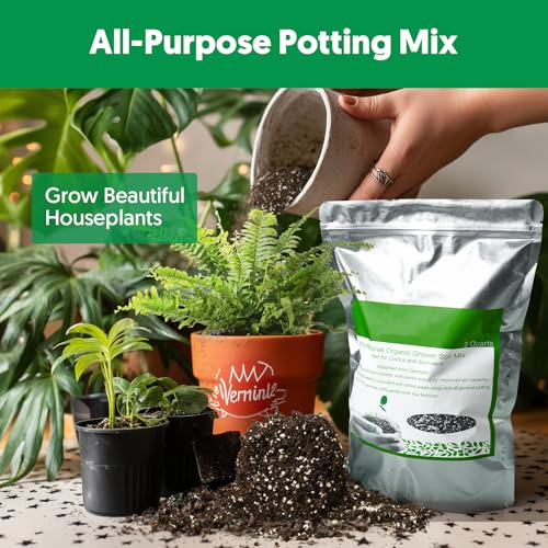 Succulent Cactus Potting Soil Mix (8 qt), All-Purpose Garden Potting Mix for Indoor Outdoor Plants, Quick Drain Houseplant Orchid Bonsai Perlite Soil, Ready-to-Use, Resealable Bag Design - size: 8 qt