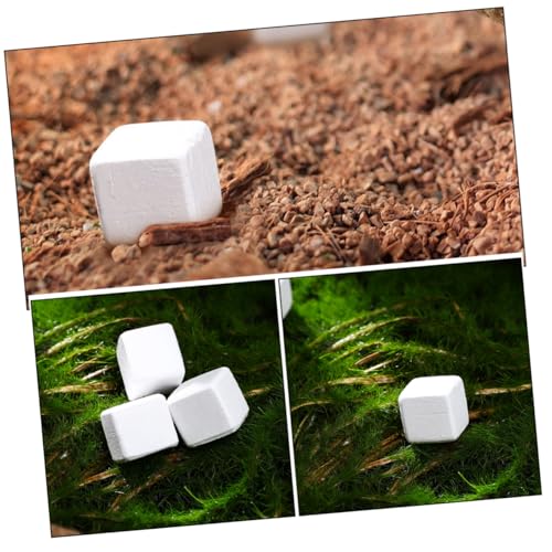 MERRYHAPY 30Pcs Essential for Tortoise Turtle Lizard Frog Chameleon Care Supports Health Aquatic Habitat Quality