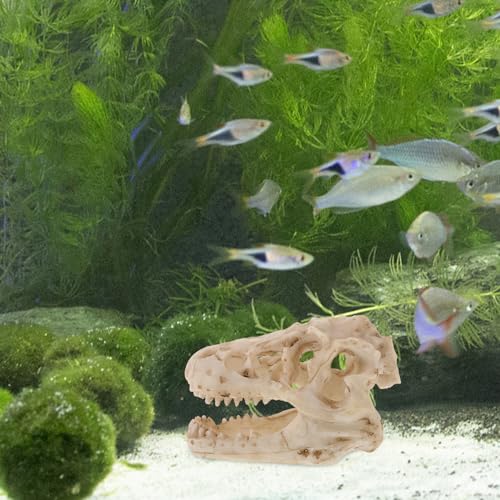 Resin Dinosaur Skull Model Realistic for Office Display Small Decoration for Terrariums Halloween Decor and Anatomy Teaching Tool