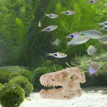 Resin Dinosaur Skull Model Realistic for Office Display Small Decoration for Terrariums Halloween Decor and Anatomy Teaching Tool