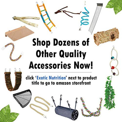 Multi-Branch Perch (Small) - Durable Natural Climbing Branch Perch Cage Accessory - Sugar Gliders, Squirrels, Prairie Dogs, Degus, Marmosets, Monkeys, Parrots, Birds, Rats, Reptiles, Amphibians