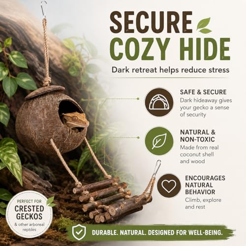 IMIKEYA Reptile Hide Coconut Cave, Natural Hanging Shell Hut with Rope Ladder for Crested and Leopard Gecko, Lizard Tank Hideout Decor for Small Reptiles and Hermit Crabs