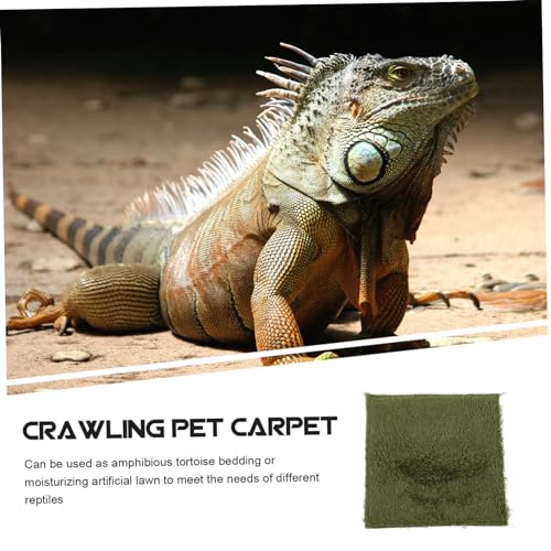 Crab Cage Pad Reptile Tank Accessories Reptile Carpet Mat Imitation Grass Bedding Terrarium Liner for - size: 20.00X20.00X0.50CM