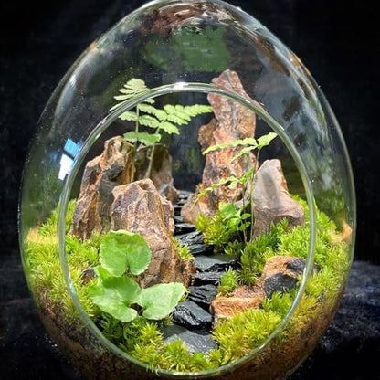 Natural Rocks Dragon Stone 1-2.5 Inches Decorative Rocks for Miniature Terrariums,Fairy Gardens,Bonsai,DIY Crafts, Aquariums Dioramas & Wargaming-1lb - size: 1lb(1-2.5Inch)