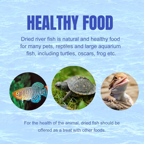 Amzey 2.3 oz Dried River Fish - Natural Food for Turtles, Terrapins, Reptiles and Large Tropical Fish - size: 2.3 Ounce (Pack of 1)