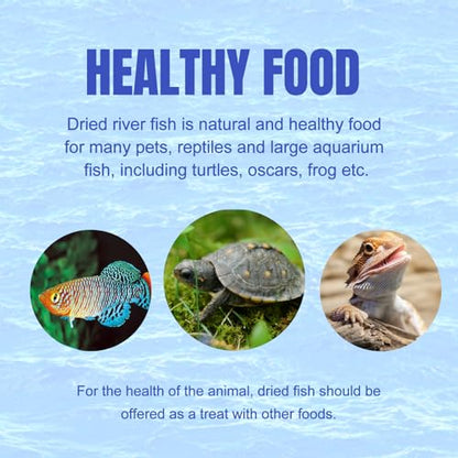 Amzey 3 Pack 0.8Oz (Total 2.4Oz or 68Gram Dried River Fish - Natural Food for Turtles, Terrapins, Reptiles and Large Tropical Fish - size: 0.8 Ounce (Pack of 3)