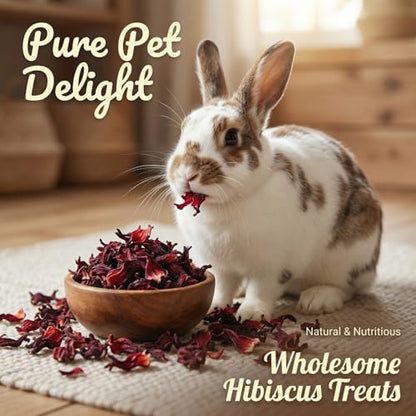RAINFLOW Hibiscus Flower Treat (5.3oz)– Healthy Dried Hibiscus Flowers Small Animal Treats for Chinchilla, Guinea Pig, Natural Pet Snacks Hamster Treats for Rabbit,Rats, Squirrels, Sugar Glide