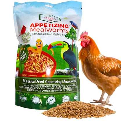 Amzey Dried Mealworms 1 LB, 100% Natural Meal Worms for Chicken & Birds, Organic Chicken Feed for Laying Hens, High Protein and Nutrition, Zipped Bag - size: 1 Pound (Pack of 1)