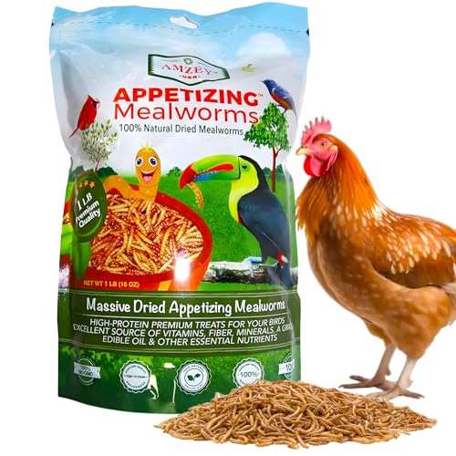 Amzey Dried Mealworms 1 LB, 100% Natural Meal Worms for Chicken & Birds, Organic Chicken Feed for Laying Hens, High Protein and Nutrition, Zipped Bag - size: 1 Pound (Pack of 1)