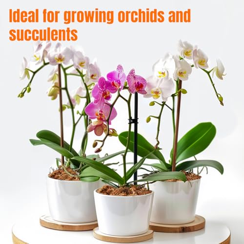 3 Oz Sphagnum Moss for Orchids - Sukh Sphagnum Peat Moss for Plants Dried Long Fiber Orchid Moss Potting Mix for Phalaenopsis Cattleya Orchids Repotting Succulent Carnivorous Potted Plant Reptiles