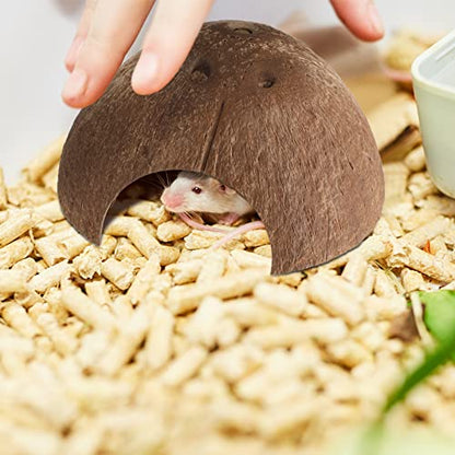 Woanger 6 Pcs Natural Coconut Reptile Hideouts, Coco Hut Hide Toys for Lizards, Geckos, Hermit Crabs, Snakes, Tarantulas, Small Reptile Habitat Decoration Supplies