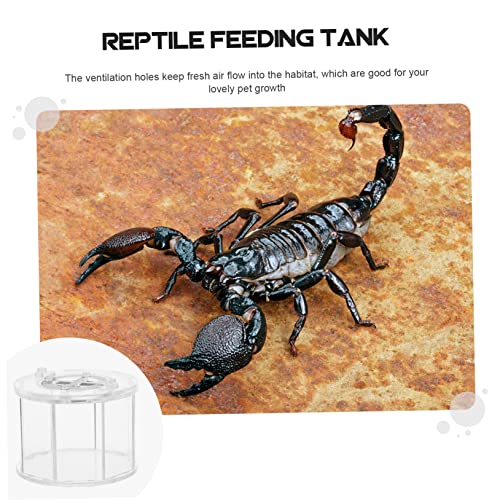 Transparent Acrylic Breeding Box for Reptiles and Pets Compact Display Case for Lizards Insects and Spiders Lightweight Easy to Use Habitat Holder