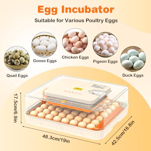 56 Egg Incubator, Incubator for Hatching Eggs with External Auto Water Refill, Auto Turner, LED Candler, Temperature Control, Incubator for Hatch Chick Duck Quail Poultry Home School Lab - style: 56 Eggs
