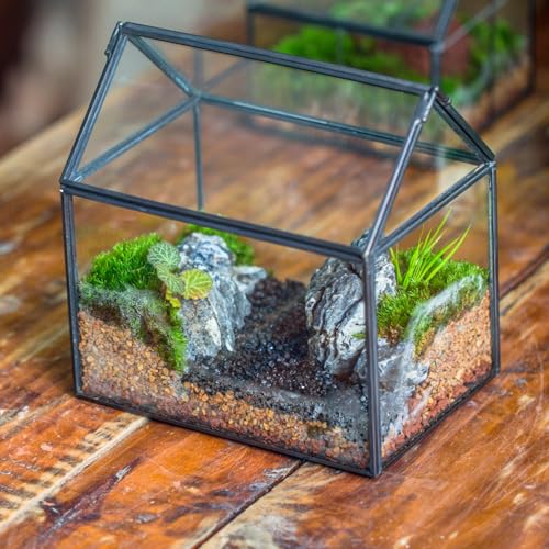 NCYP Small Glass Terrarium with Lid for Plant Succulent - 6.1 X 4.33 X 6.3 Inches - House Shape Flower Pot, Garden Tabletop Decor Planter, Geometric Centerpiece, Black (No Plants)