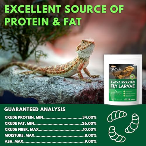 Black Soldier Fly Larvae, Bearded Dragon Food, Bugs for Reptiles, Worms for Geckos, Insect Protein, Baby Bearded Dragon Food, Made in USA (1 Pound (Pack of 1)) - size: 1 Pound (Pack of 1)