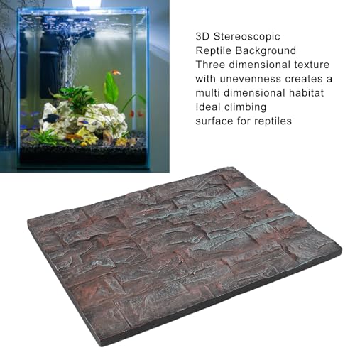CDQL Aquarium Terrarium Background, Multipurpose 3D Reptile Background, Foam Aquarium Decor Backgrounds, Easy to Assemble for Reptiles Lizard Fish Frog (E) - size: E
