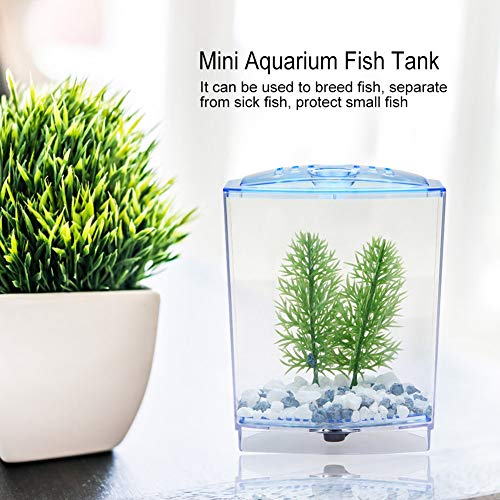 Mini Fish Tank Aquarium | Transparent Acrylic Breeding Box & Hatching Incubator | Isolate Sick Fish/Guard Fry/Grow Plants | with Sediment Groove & Ventilation Cover